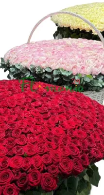 501 свежая роза в огромной корзине 